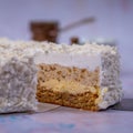 Closeup of the piece of coconut cheesecake covered with grated coconut with a blurry background