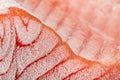 Closeup piece of frozen salmon fillet