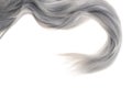 Closeup piece of grey hair Royalty Free Stock Photo