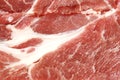 Closeup of a piece of juicy and fresh raw beef full of fat