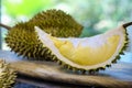 Closeup piece ripe durian monthong in Thailand, on wooden table in nature background. Fruits Concept