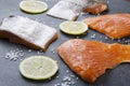 Tasty several pieces of salmon with lemon,seasalt on grey table.Cooking preparation Royalty Free Stock Photo