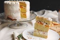 Closeup of a piece of white delicious Christmas cake with nuts and mandarine Royalty Free Stock Photo