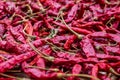 Closeup Pile of air-dried red chili peppers background. Hot and spicy dry red chillies Royalty Free Stock Photo