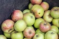 Closeup of a pile of apples