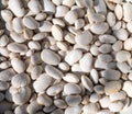 Closeup of a pile of beans