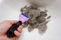 Closeup of a pile of cat fur combed from Scottish fold cat