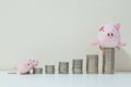 Closeup pile of coin start from low to high with pig doll on the top of coin wait three little pig walk to on desk and wall backgr