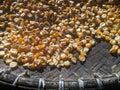 closeup of a pile of corn kernels combined with Indonesian culture.  can be used as a background or object to tell stories. Royalty Free Stock Photo