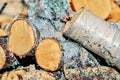 Closeup of a pile of cut firewood logs background Royalty Free Stock Photo