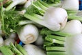 Fennel fruit vegetables food vegetarian Royalty Free Stock Photo