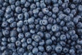 Closeup of a Pile of Fresh Blueberries in an Open Air Market Royalty Free Stock Photo