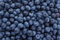 Closeup of a Pile of Fresh Blueberries in an Open Air Market Royalty Free Stock Photo