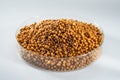 Closeup of a pile of fresh fish feed pellets Royalty Free Stock Photo