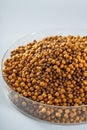Closeup of a pile of fresh fish feed pellets Royalty Free Stock Photo