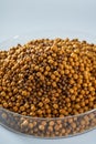Closeup of a pile of fresh fish feed pellets Royalty Free Stock Photo