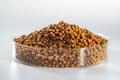 Closeup of a pile of fresh fish feed pellets Royalty Free Stock Photo