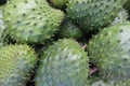 Closeup of a pile of fresh green tasty exotic soursop fruits
