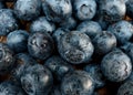 Closeup of a Pile of Fresh Blueberries in Market Royalty Free Stock Photo