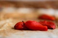 Closeup of a pile of freshly baked piquillo peppers on a rag, in Lodosa