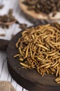 Edible fried worms and crickets