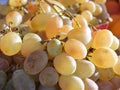 Grapes fruit vitamine freshness agriculture