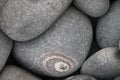 Closeup of a pile of gray cobblestones