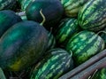 Closeup pile of green peel watermelons in the market. Watermelon from an organic agriculture farm. Tropical juicy flesh fruit. Royalty Free Stock Photo