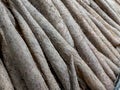 Closeup of a pile of iron rods and yam in the vegetable market Royalty Free Stock Photo