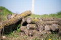 Closeup of a pile of logs drying on the field Royalty Free Stock Photo