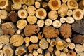Closeup of a pile of logs showing the cross sections,looking at the cross section cuts,The pattern of tree stump background Royalty Free Stock Photo
