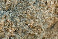 Closeup of pile of natural organic pressed maize silage Royalty Free Stock Photo
