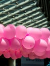 Closeup of a pile of pink balloons