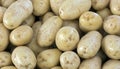 Closeup of pile of potatoes