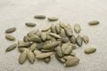 Closeup pile of pumpkin seeds