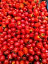 Closeup of a pile of red cherry tomatoes Royalty Free Stock Photo