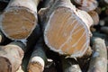 Closeup pile Timber logs for background