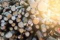 Closeup pile Timber logs for background