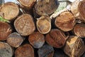 Closeup of pile of trunks of felled trees