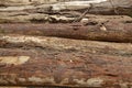 Closeup of pile of trunks of trees