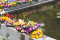 Closeup pile of waste after Loy Krathong festival in Thailand. Colorful flowers decorated on the piece of banana tree with the