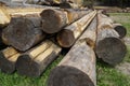 Closeup of pile of wood logs for a house on the grass Royalty Free Stock Photo