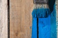 Closeup Of Pine Plank Being Painted In Blue Color Royalty Free Stock Photo