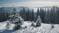 Closeup pine trees at snow mountain top aerial. Nobody nature landscape at sun winter. Fir forest