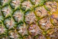 Closeup of a pineapple skin background