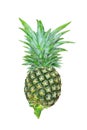 Closeup Pineapple on White Background, Clipping Path Royalty Free Stock Photo