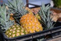 closeup of pineapples in a box. Organic food. Royalty Free Stock Photo