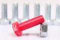 Closeup of pink bolt and nut n a group of galvanized metallic screws. Leadership, dominance, dissimilarity concept