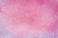 Closeup pink brine and salt of Sivash Lake Royalty Free Stock Photo