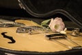 Closeup of pink Lisianthus flower on electric guitar Royalty Free Stock Photo